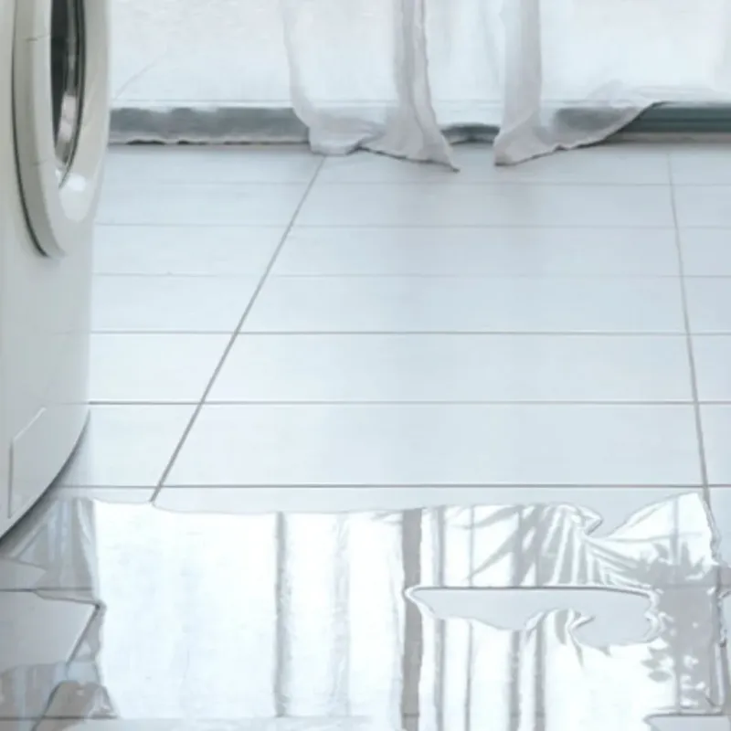 Appliance Leak Cleanup in McHenry, IL
