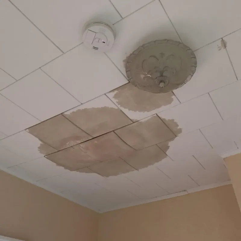 Ceiling Water Damage Repair in McHenry, IL