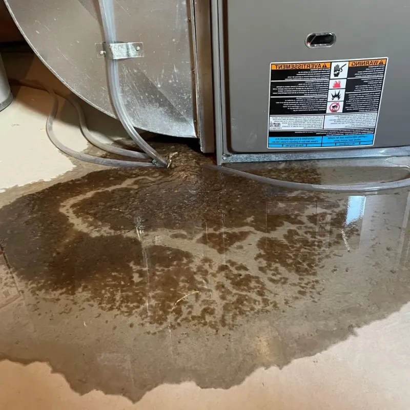 Pipe Burst and Leak Restoration in McHenry, IL