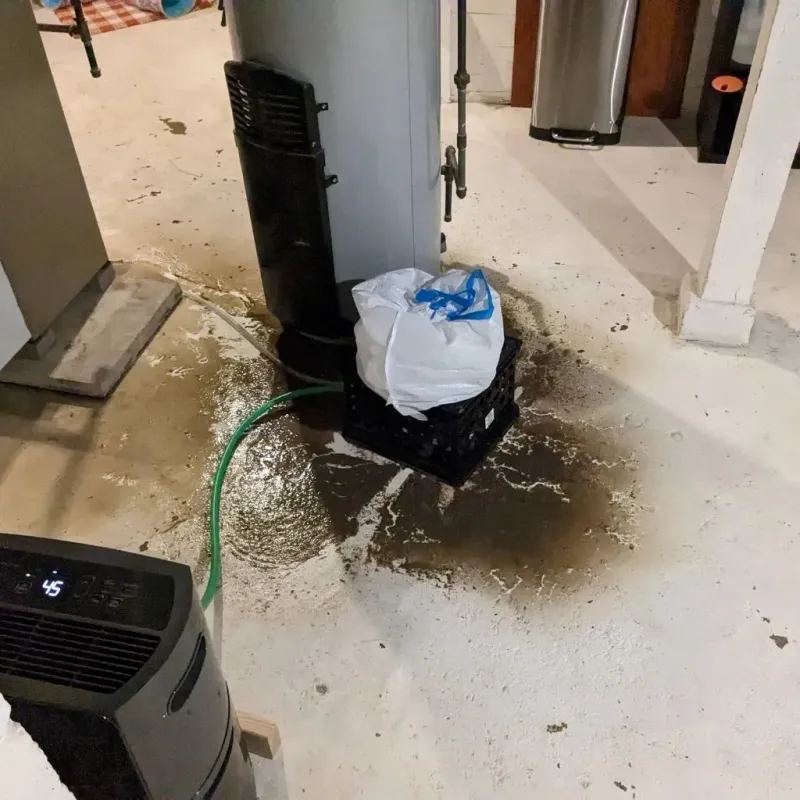 Sewage Backup Cleanup Service in McHenry, IL